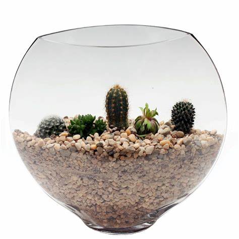 Glass Terrarium Pots