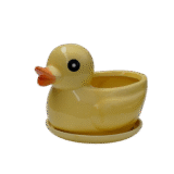 Imported Designer ceramic planters in glossy finish in assorted colors