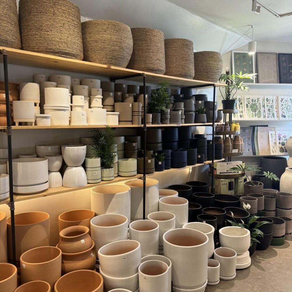 Pots and Planters