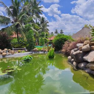 Farmhouse, Kovilpalayam